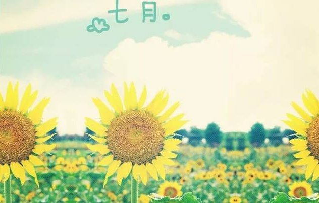 关于七月唯美的网名