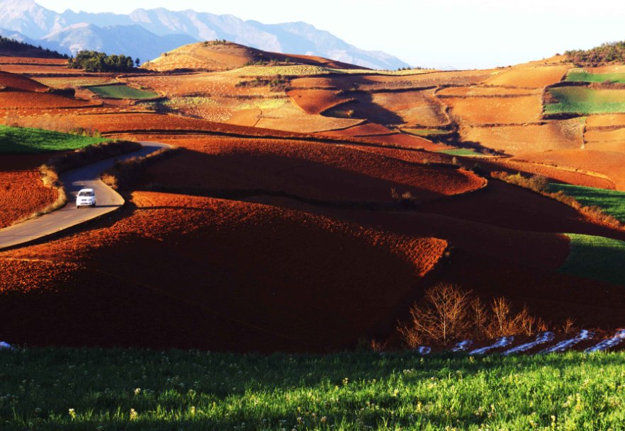 红色土壤的作用有哪些？