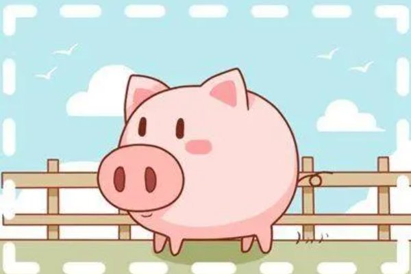 虎女配什么属相最好