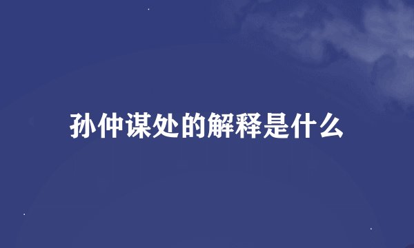 孙仲谋处的解释是什么