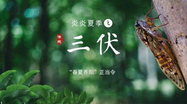 2016年几月几号入伏