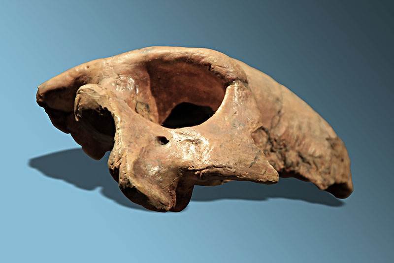 发现16000年前的人骨头化石，这段时间人类都经历了什么？