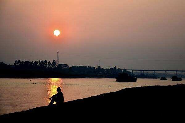 在树枝守望7天，洪水中的鸡坚强，坚强是怎样的人生态度？