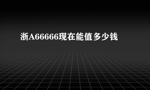 浙A66666现在能值多少钱