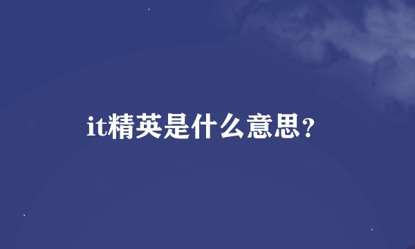 it精英是什么意思？