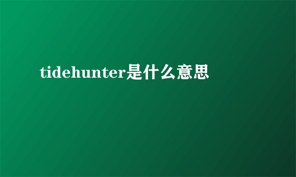 tidehunter是什么意思