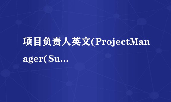 项目负责人英文(ProjectManager(Subtitle))