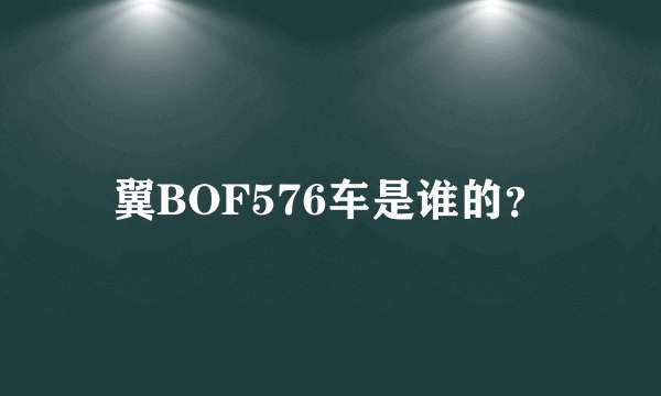 翼BOF576车是谁的？