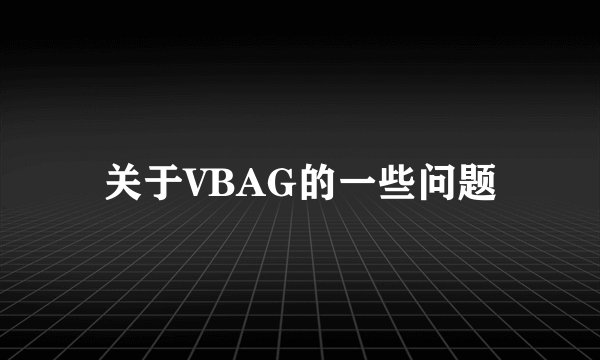 关于VBAG的一些问题