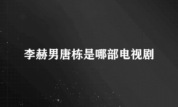 李赫男唐栋是哪部电视剧