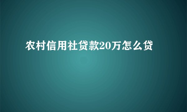 农村信用社贷款20万怎么贷