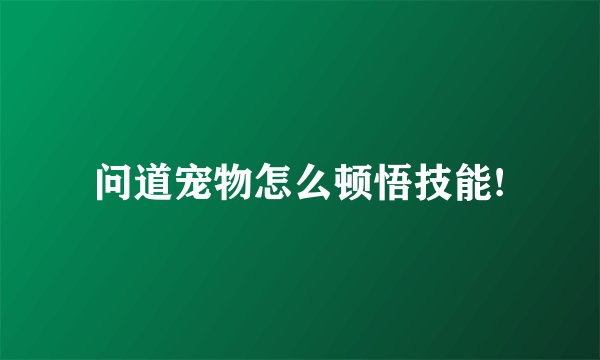 问道宠物怎么顿悟技能!