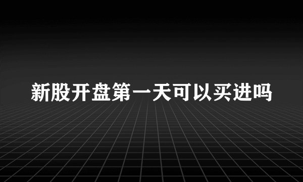新股开盘第一天可以买进吗