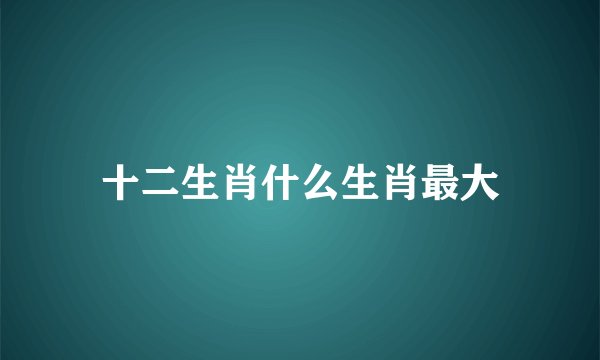 十二生肖什么生肖最大