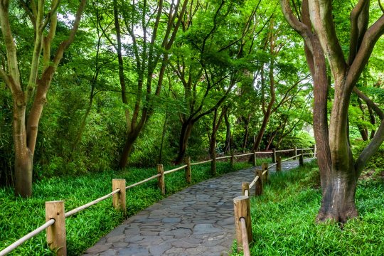 熊猫村大古坪位于什么自然保护区