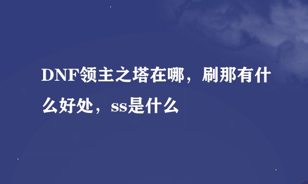 DNF领主之塔在哪，刷那有什么好处，ss是什么