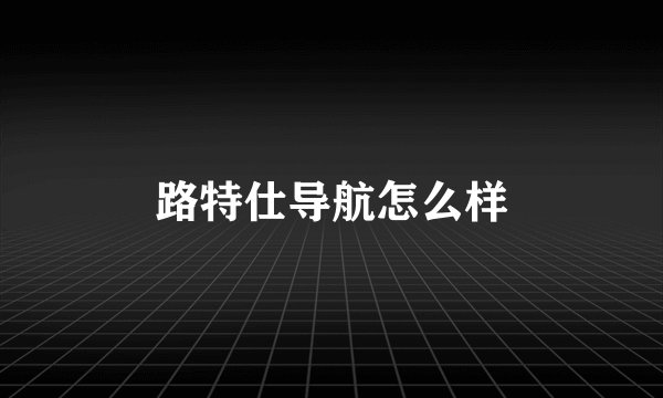 路特仕导航怎么样