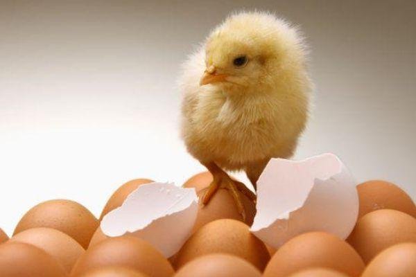 《写真地理》负责人被责令辞职，在其中发生了什么？