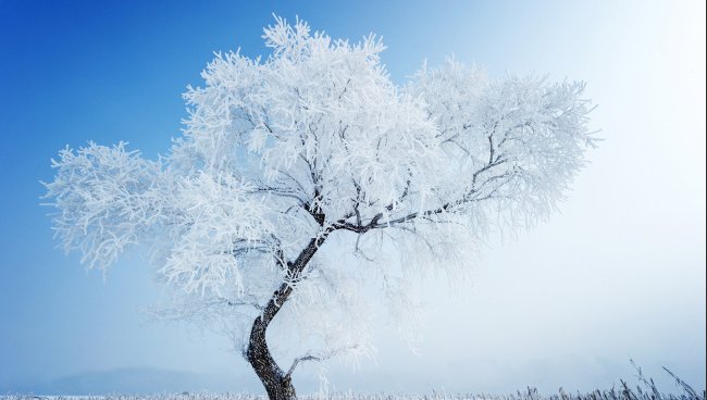 形容秋雪的诗句