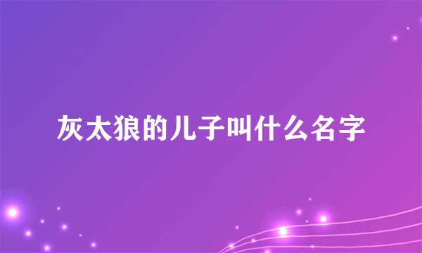 灰太狼的儿子叫什么名字