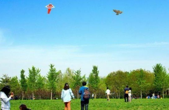 放风筝英文的读音怎么读？