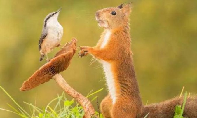 信以为真的意思是啥