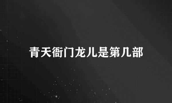 青天衙门龙儿是第几部