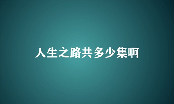 人生之路共多少集啊