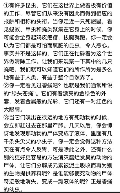 在昆虫记中,作者把绿头苍蝇又称什么？