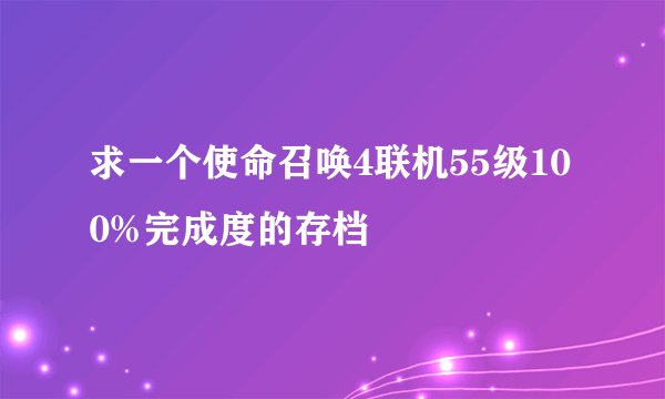 求一个使命召唤4联机55级100%完成度的存档