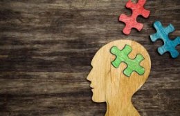 上海一核酸采样点被砸，涉事人员将会面临什么处罚？