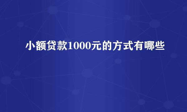 小额贷款1000元的方式有哪些