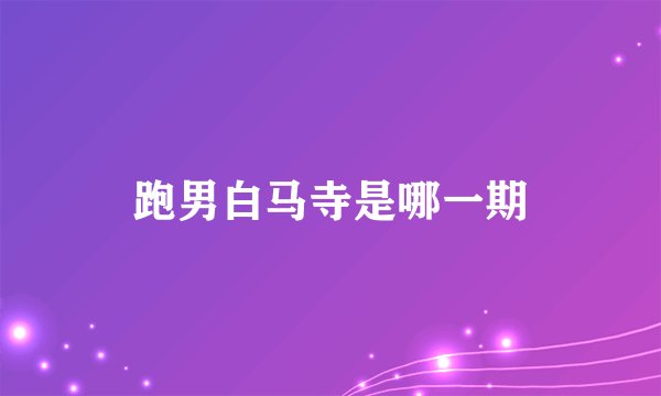 跑男白马寺是哪一期