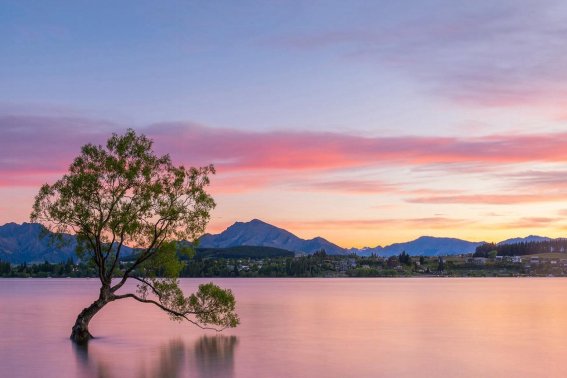 即视感什么意思