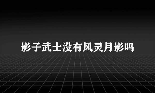 影子武士没有风灵月影吗