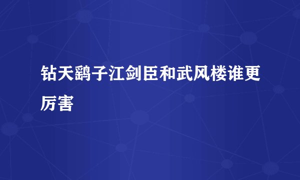 钻天鹞子江剑臣和武风楼谁更厉害
