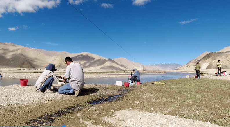 西藏夏达错遗址发现8000年前磨制石针，这一发现有何价值？