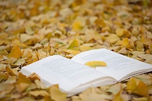 草书大王文言文翻译及注释