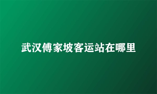 武汉傅家坡客运站在哪里