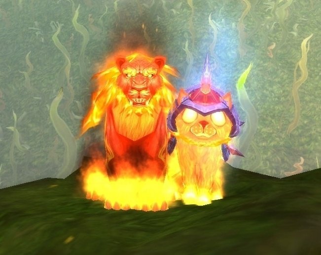 燃烬猫仔的介绍