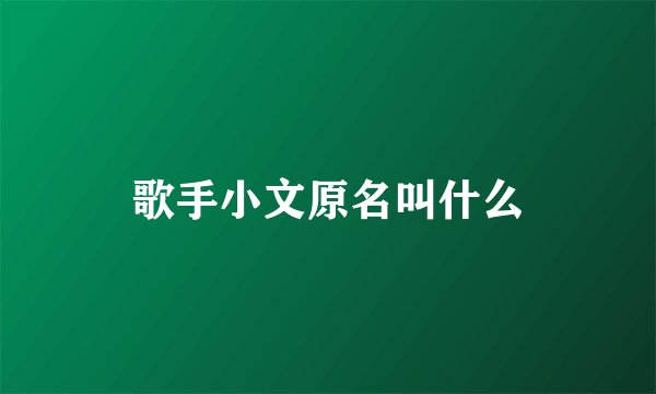 歌手小文原名叫什么