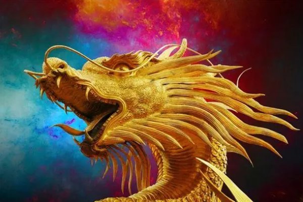 九天揽月是什么生肖动物