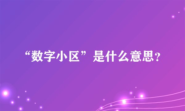 “数字小区”是什么意思？