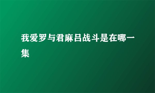我爱罗与君麻吕战斗是在哪一集