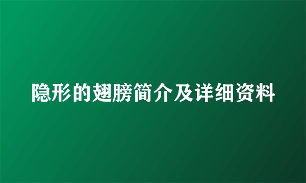 隐形的翅膀简介及详细资料