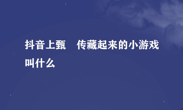 抖音上甄嬛传藏起来的小游戏叫什么