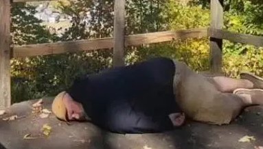 “死”了321次，美国42岁餐厅经理靠“装死”走红网络，到底是咋回事？