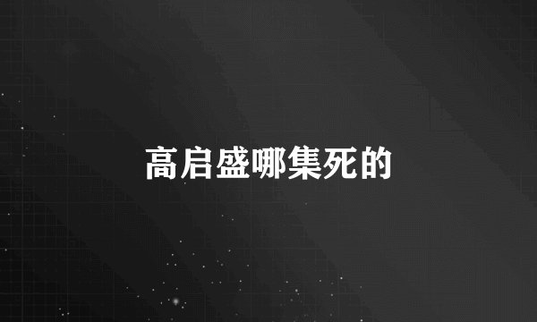 高启盛哪集死的