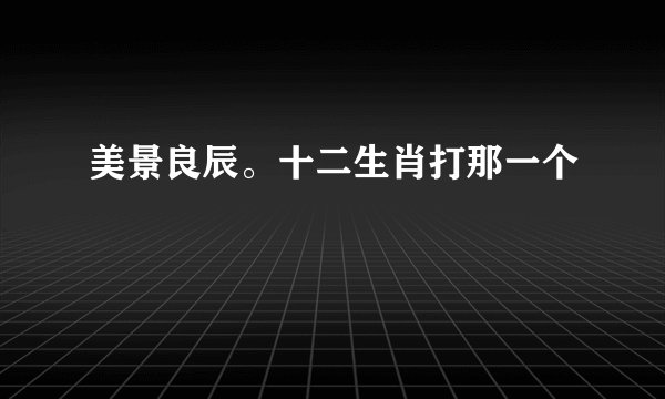 美景良辰。十二生肖打那一个