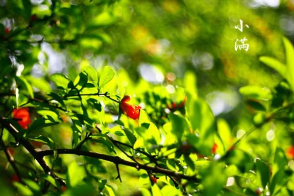 事事小满胜万全是什么意思